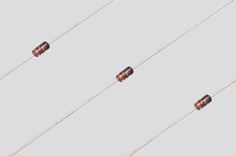 E Series (Axial Lead Type)