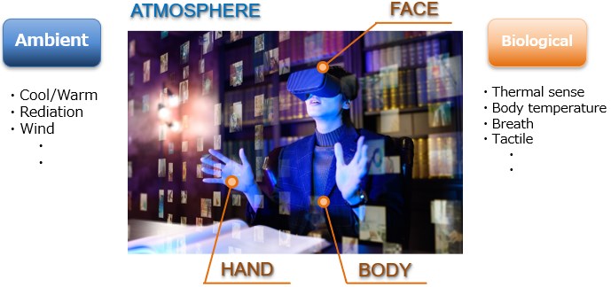 Atmosphere: cold, warm, radiation, wind/Biological: thermo-sensory, body temperature, respiration, tactile